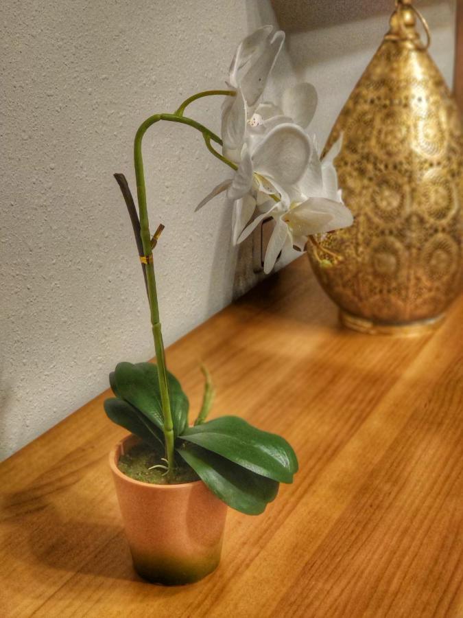Namaste Apartment Avilés Екстериор снимка